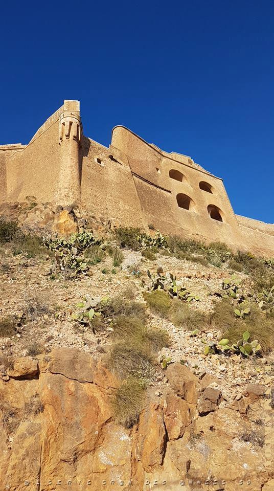 ORAN Santa Cruz (12 LE FORT).jpg